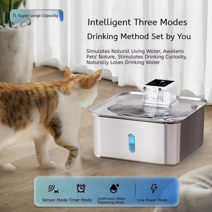 7L Electric Pet Water Dispenser