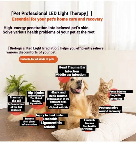 Pet Red Light Pad