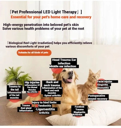 Pet Red Light Pad